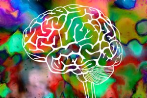 VC embrace of psychedelics comes with caveats