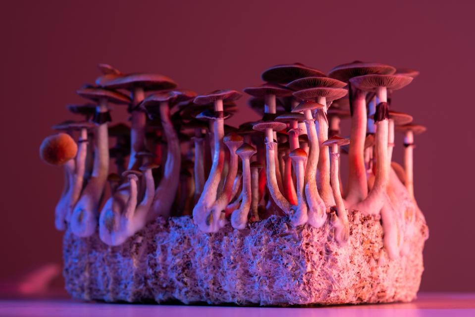 Colorado and Oregon continue to lead the way on psilocybin therapy