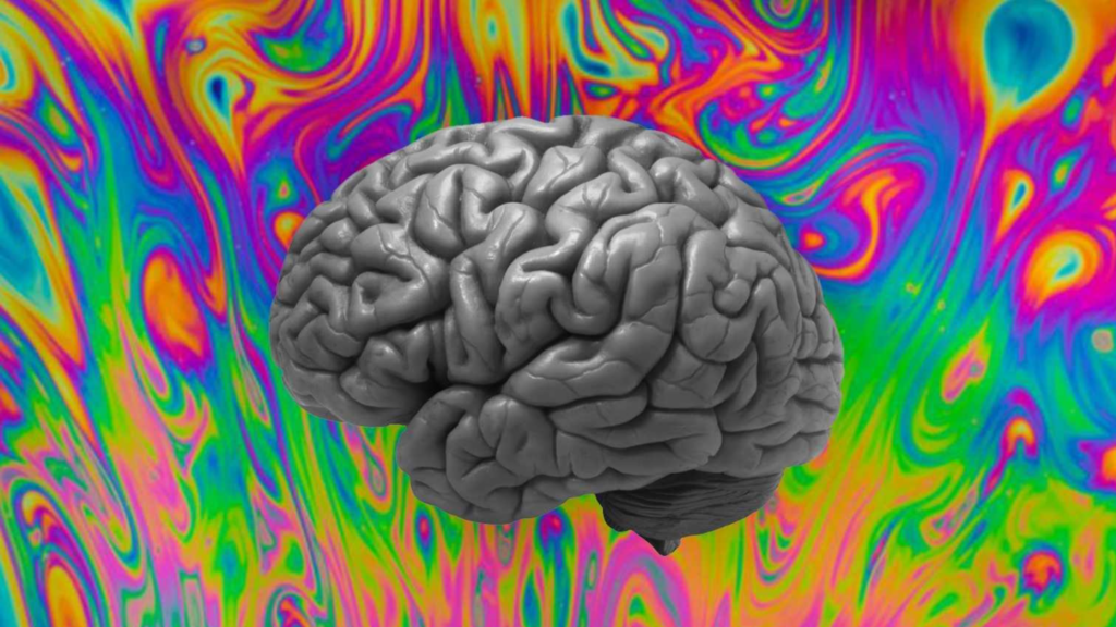 How Psychedelic Therapy Can Help Treat Brain Injury